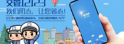 12123查看车架号方法,车架号在12123上能查出来吗