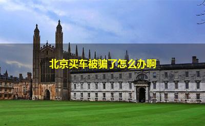 北京买车被骗了怎么办啊