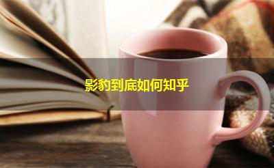 影豹到底如何知乎
