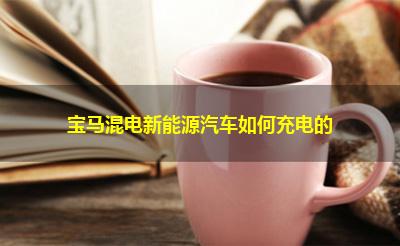 宝马混电新能源汽车如何充电的 宝马混电新能源汽车如何充电的