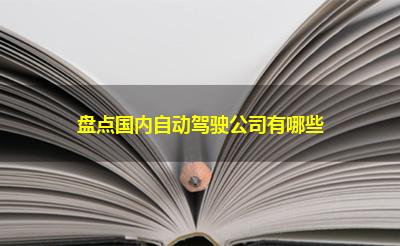 盘点国内自动驾驶公司有哪些 盘点国内自动驾驶公司有哪些