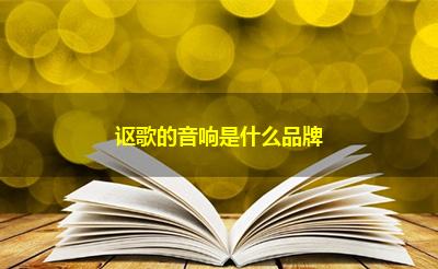 讴歌的音响是什么品牌