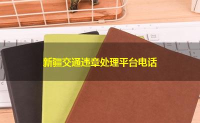 新疆交通违章处理平台电话