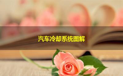 汽车冷却系统图解 汽车冷却系统图解