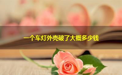 一个车灯外壳破了大概多少钱
