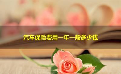 汽车保险费用一年一般多少钱