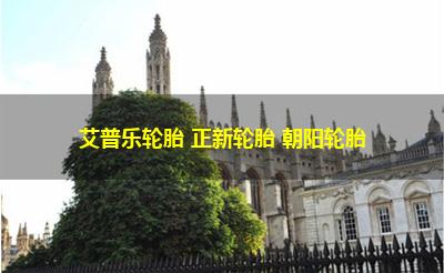 艾普乐轮胎 正新轮胎 朝阳轮胎 艾普乐轮胎 正新轮胎 朝阳轮胎