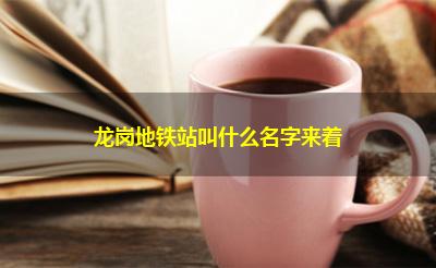 龙岗地铁站叫什么名字来着