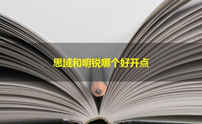 思域和明锐哪个好开点 思域和明锐哪个好开点