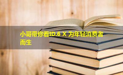 小哥带你看ID.6 X 为年轻消费者而生