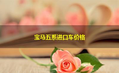 宝马五系进口车价格
