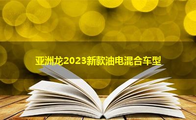亚洲龙2023新款油电混合车型