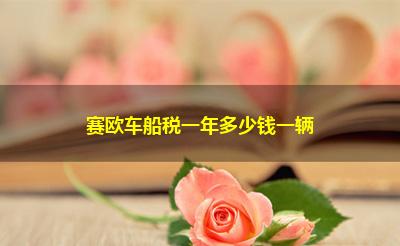 赛欧车船税一年多少钱一辆 赛欧车船税一年多少钱一辆