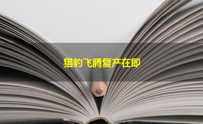 猎豹飞腾复产在即