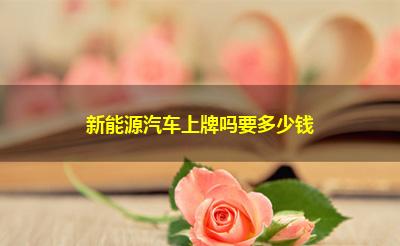 新能源汽车上牌吗要多少钱 新能源汽车上牌吗要多少钱