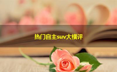 热门自主suv大横评 热门自主suv大横评