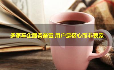 多家车企服务暴雷,用户是核心而非表象 多家车企服务暴雷,用户是核心而非表象