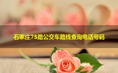 石家庄75路公交车路线查询电话号码